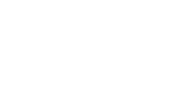 Michael Bibi